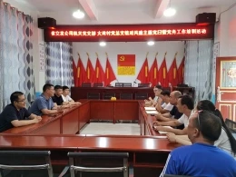 公司機(jī)關(guān)黨支部與大灣村黨總支開(kāi)展結(jié)對(duì)共建主題黨日暨黨務(wù)工作培訓(xùn)活動(dòng)